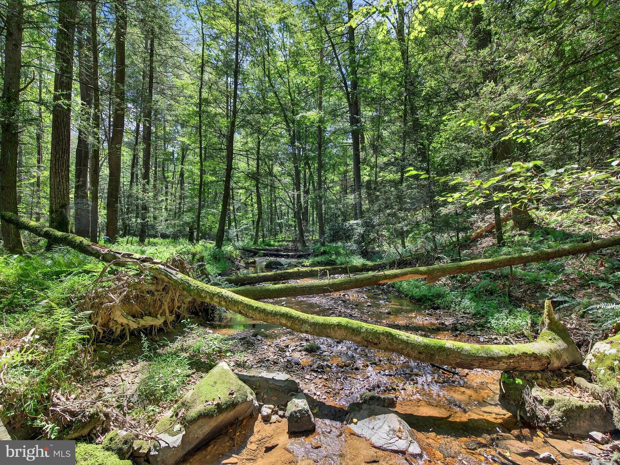 1494 Mountain Road Orrtanna, PA 17353 - Photo 3 of 80 a view of a park with large trees