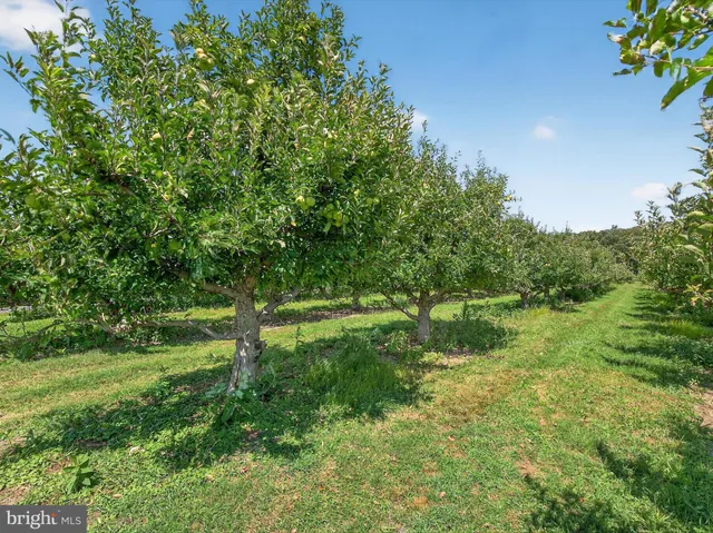 $1,650,000 | 1494 Mountain Road, Orrtanna, PA 17353