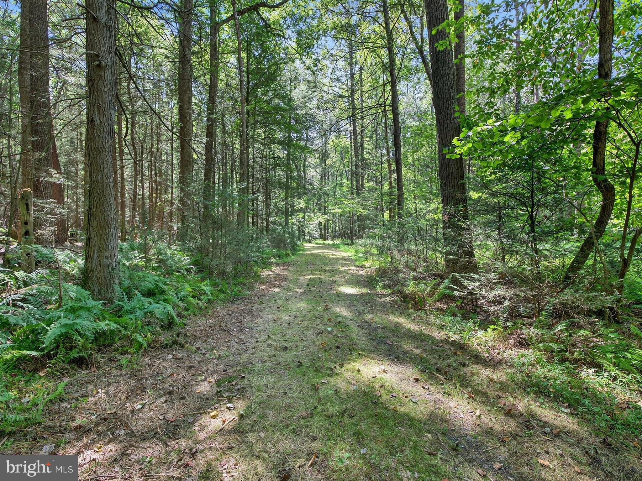 1494 Mountain Road Orrtanna, PA 17353 - Photo 75 of 80 a view of outdoor space and green space