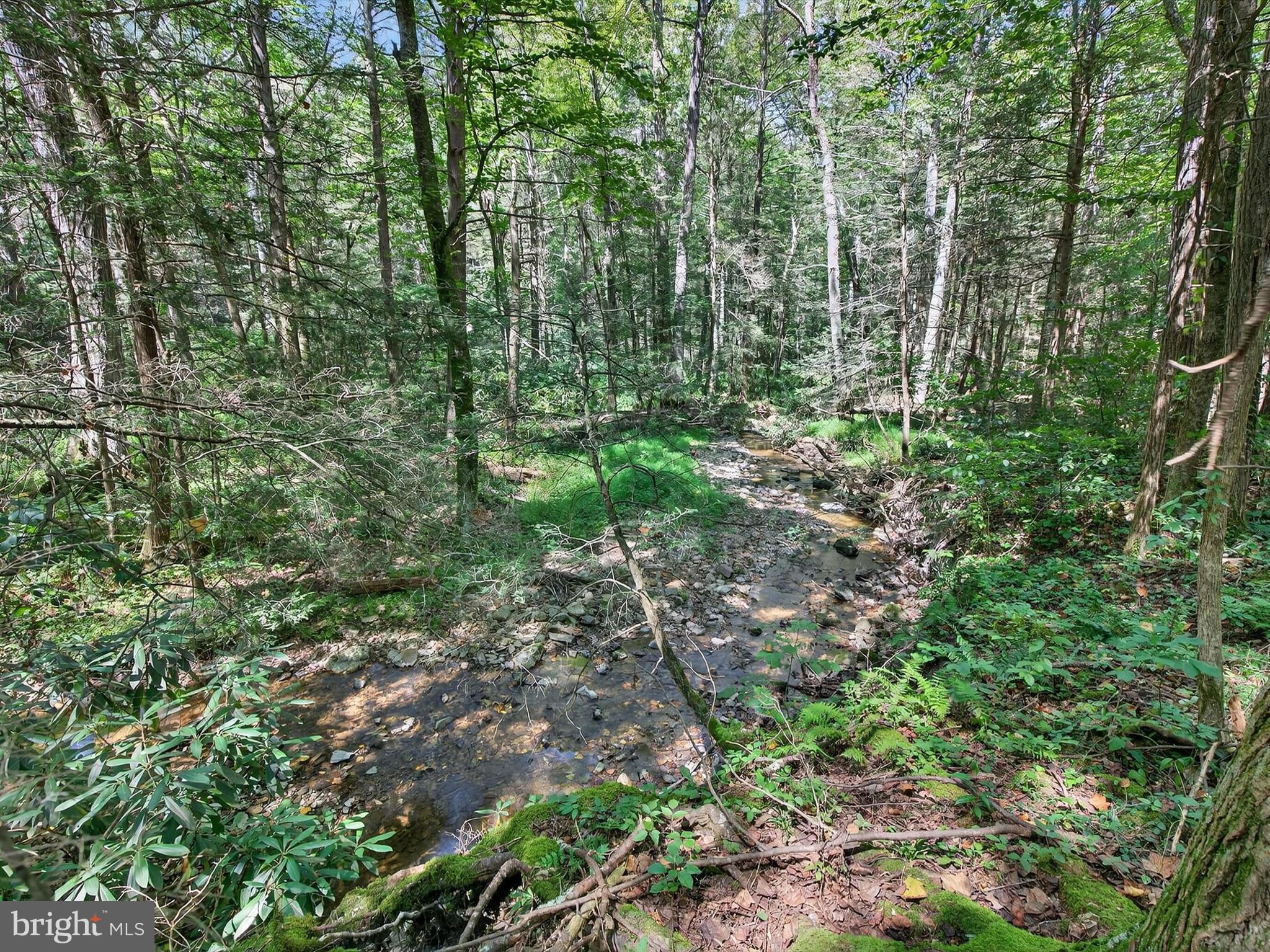1494 Mountain Road Orrtanna, PA 17353 - Photo 76 of 80 a view of a forest with trees