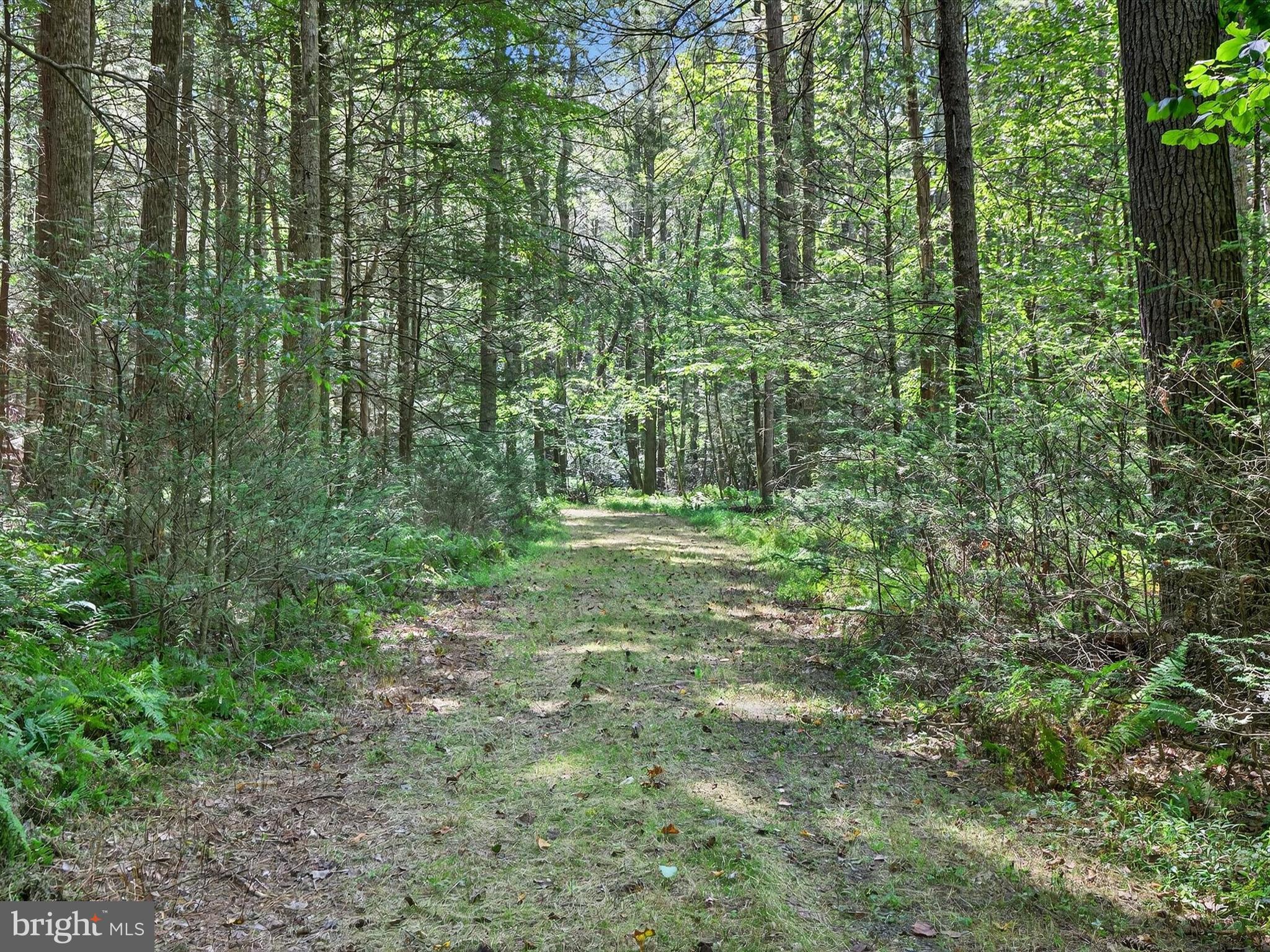 1494 Mountain Road Orrtanna, PA 17353 - Photo 77 of 80