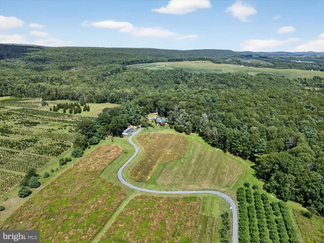 a view of a garden with a building