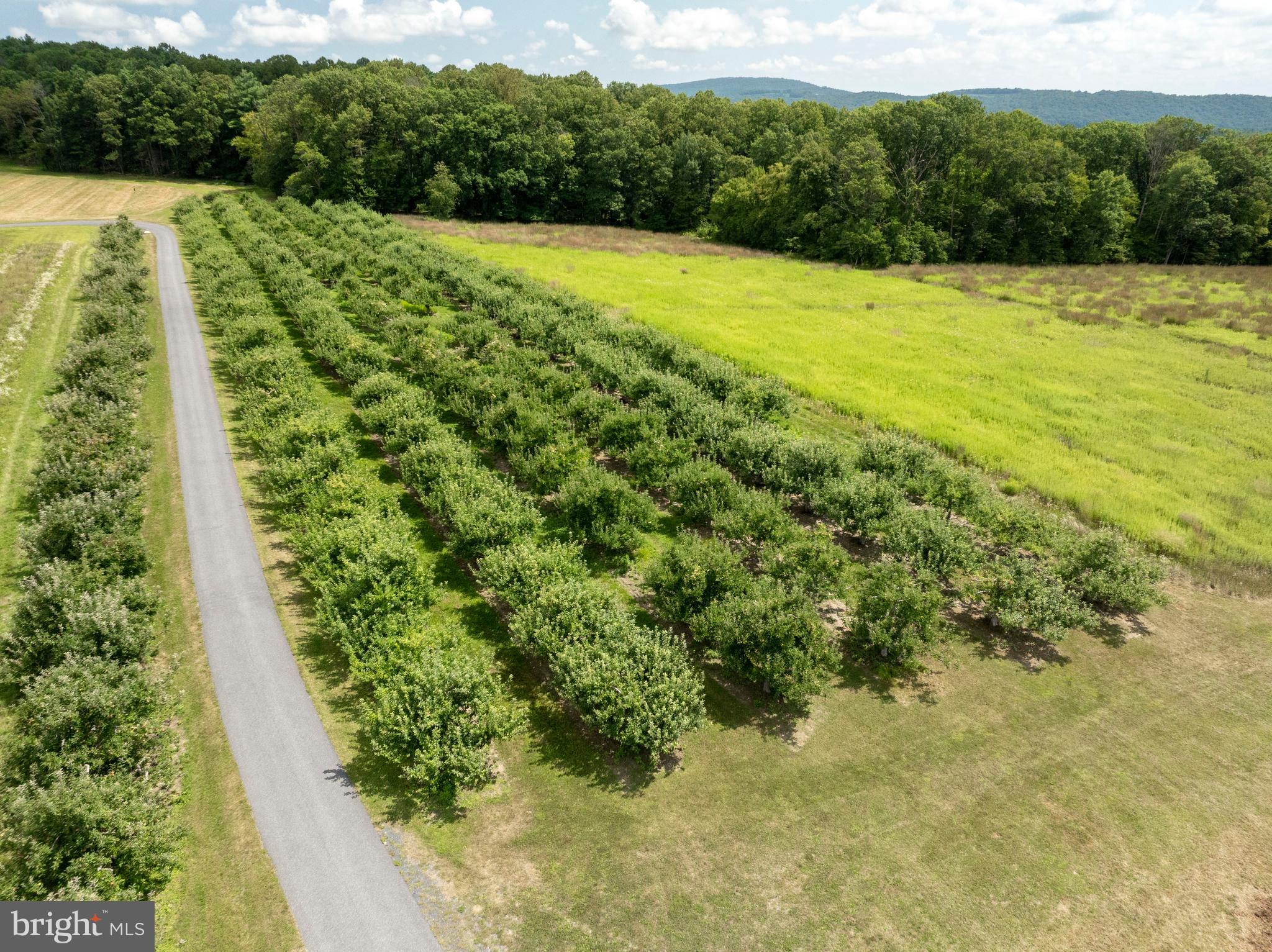 1494 Mountain Road Orrtanna, PA 17353 - Photo 10 of 80 a view of a garden with a building