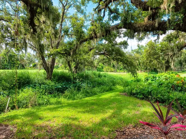 a view of a garden with plants
