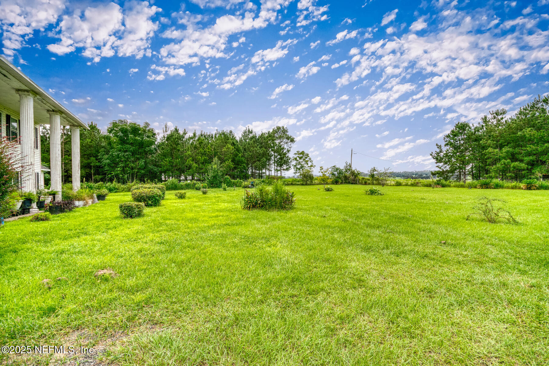3704 Northeast Rocky Ford Road Madison, FL 32340 - Photo 28 of 34 a backyard of a house with lots of green space
