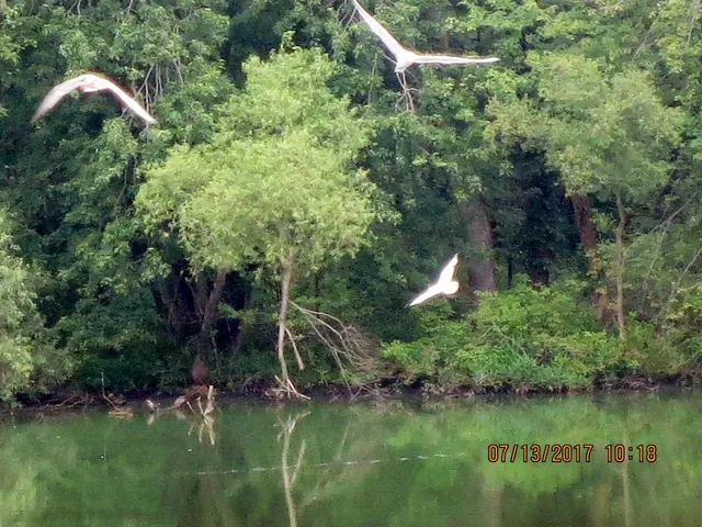 $599,900 | 0 West Division (101st For Lake West, Hebron, IN 46341