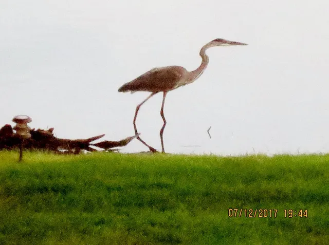 $599,900 | 0 West Division (101st For Lake West, Hebron, IN 46341