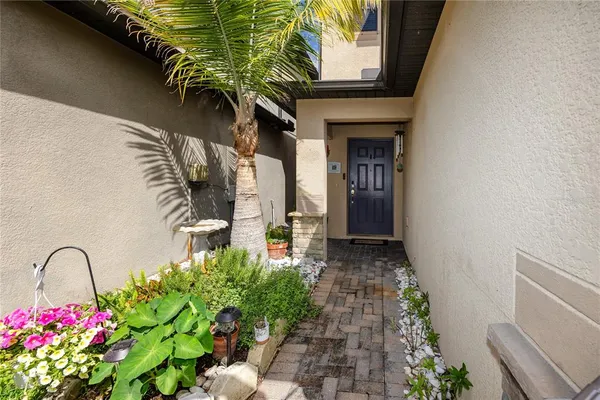 a front view of a house with plants