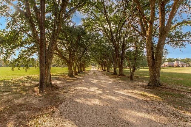 $293,000 | 30997 La-22 Highway, Springfield, LA 70462