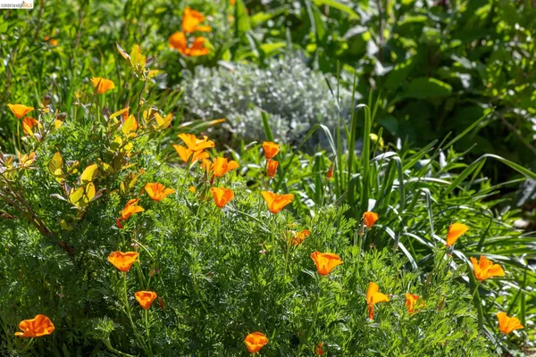 $1,398,000 | 731 Grizzly Peak Boulevard, Berkeley, CA 94708