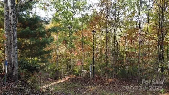 a view of a forest with trees in front of it