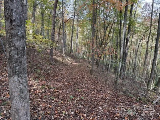 a view of a yard with lots of green space