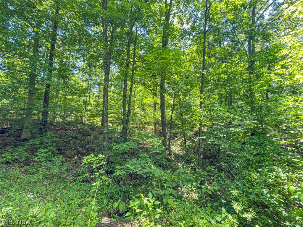 0 Twp Road Marietta, OH 45750 - Photo 45 of 50