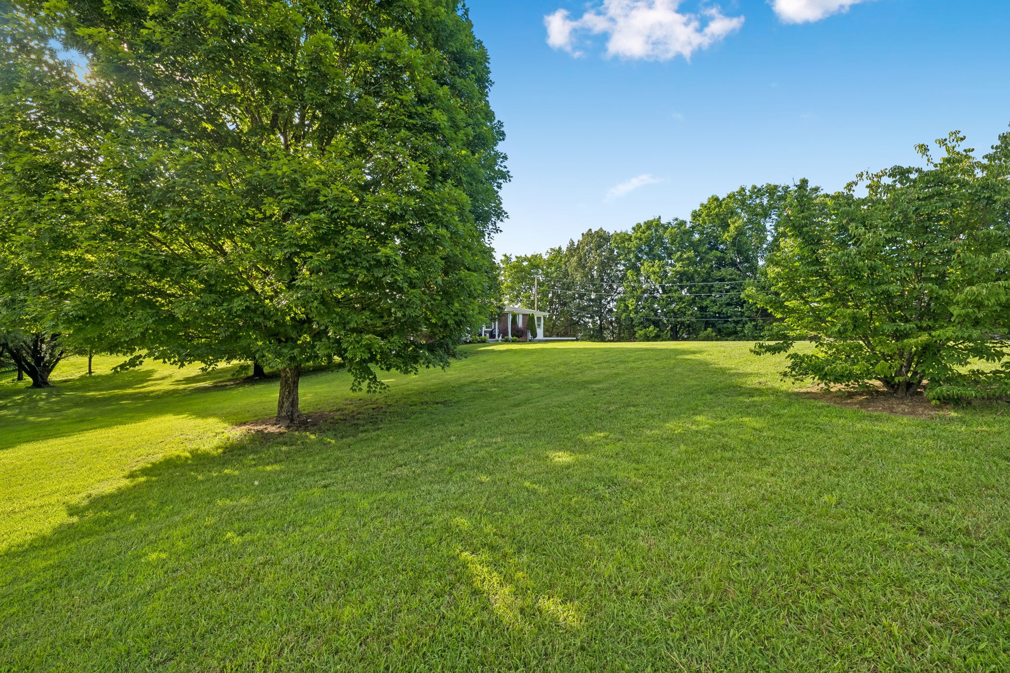 1326 Shahan Road Pleasant View, TN 37146 - Photo 40 of 41 a view of a trees with a big yard