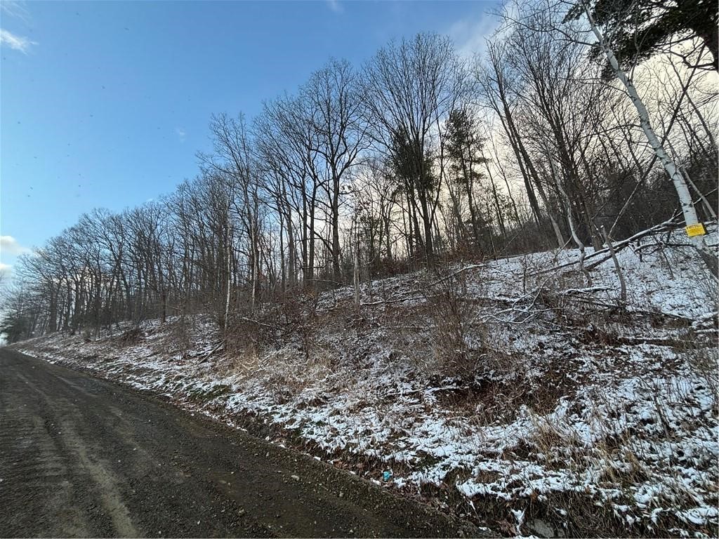 Obrien Road North Savona, NY 14879 - Photo 3 of 5