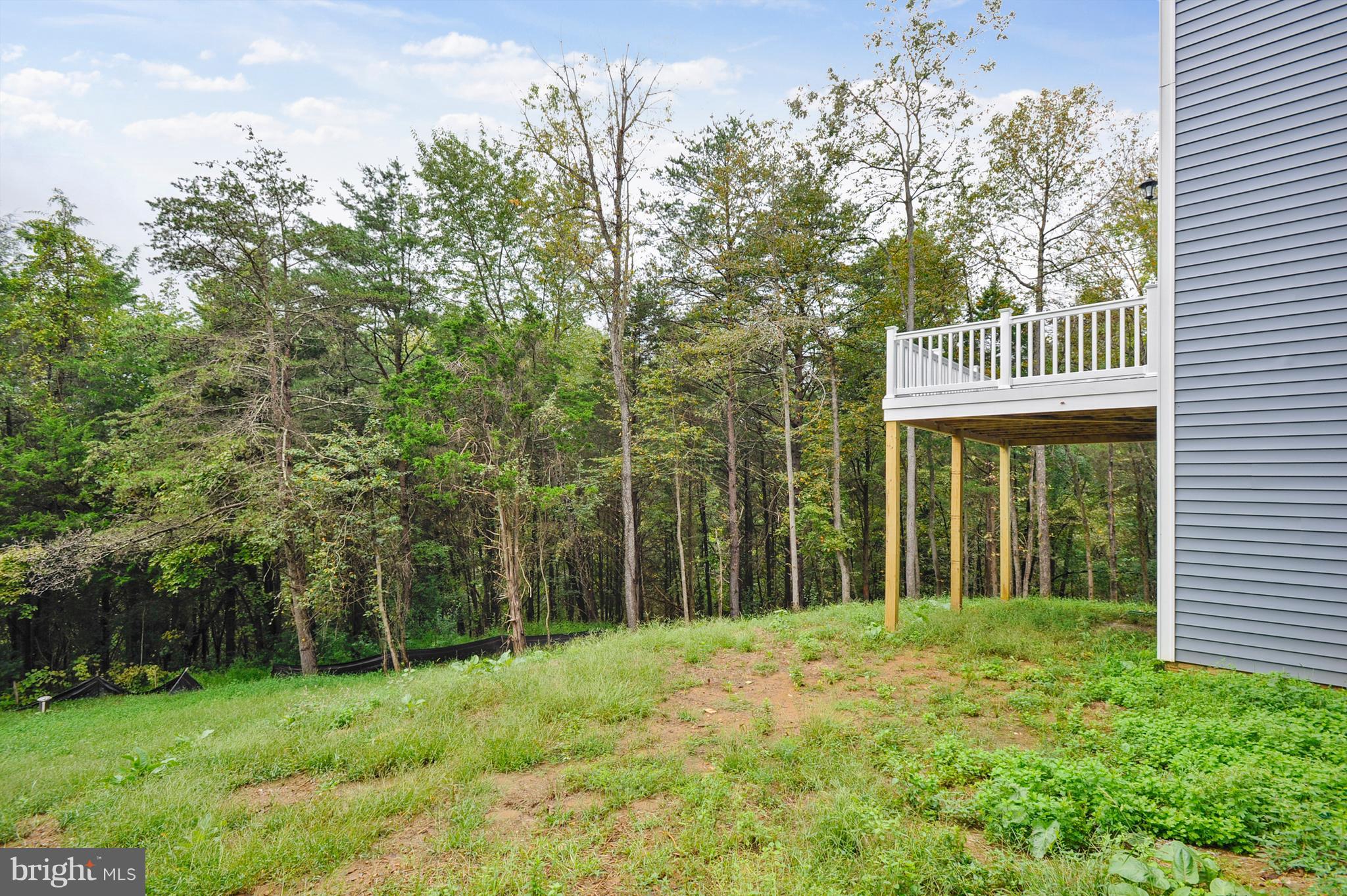 39181 Aldie Road Aldie, VA 20105 - Photo 29 of 30 Exterior (Rear)