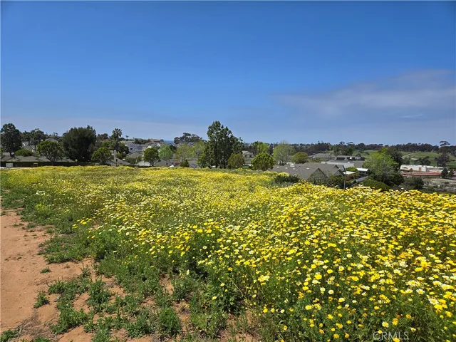 a view of a field with an ocean