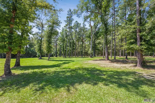 $290,000 | 60150 East Snowcreek Road, Amite, LA 70422