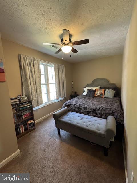 780 Lower Valley Road Strasburg, VA 22657 - Photo 13 of 25 Gallery Image 13