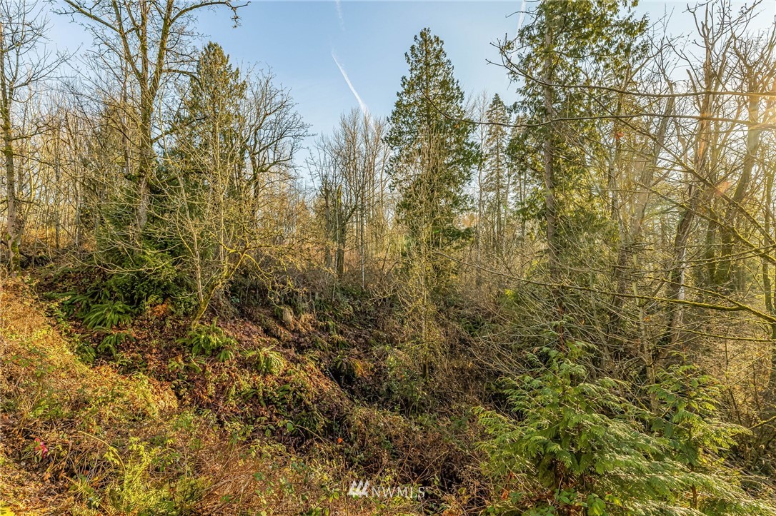 101 South 50th Place, Unit C Renton, WA 98055 - Photo 28 of 39 Gallery Image 28