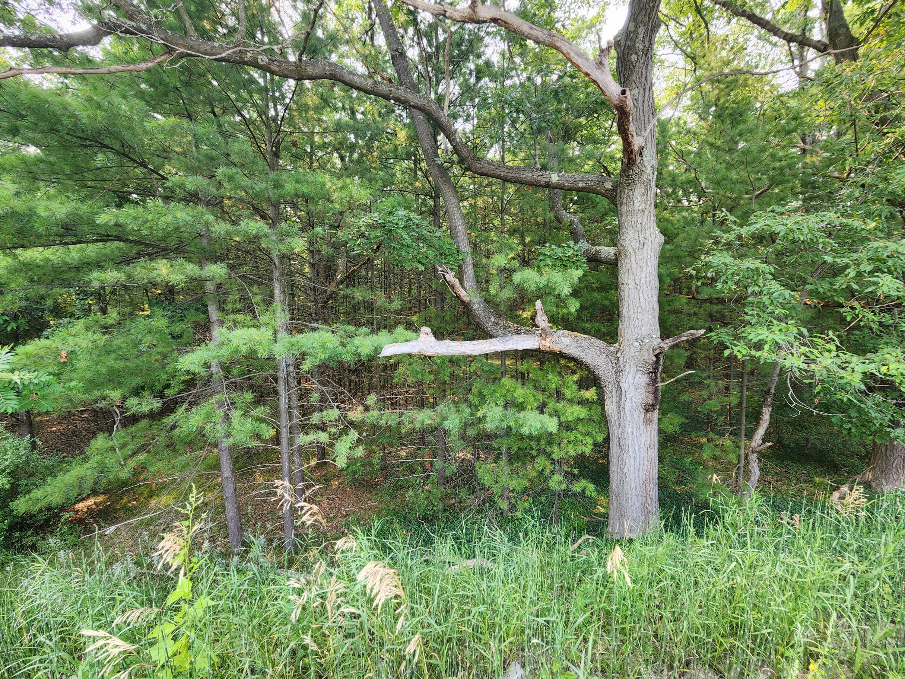 2400 Maple Road Manistee, MI 49660 - Photo 4 of 6 1000002839