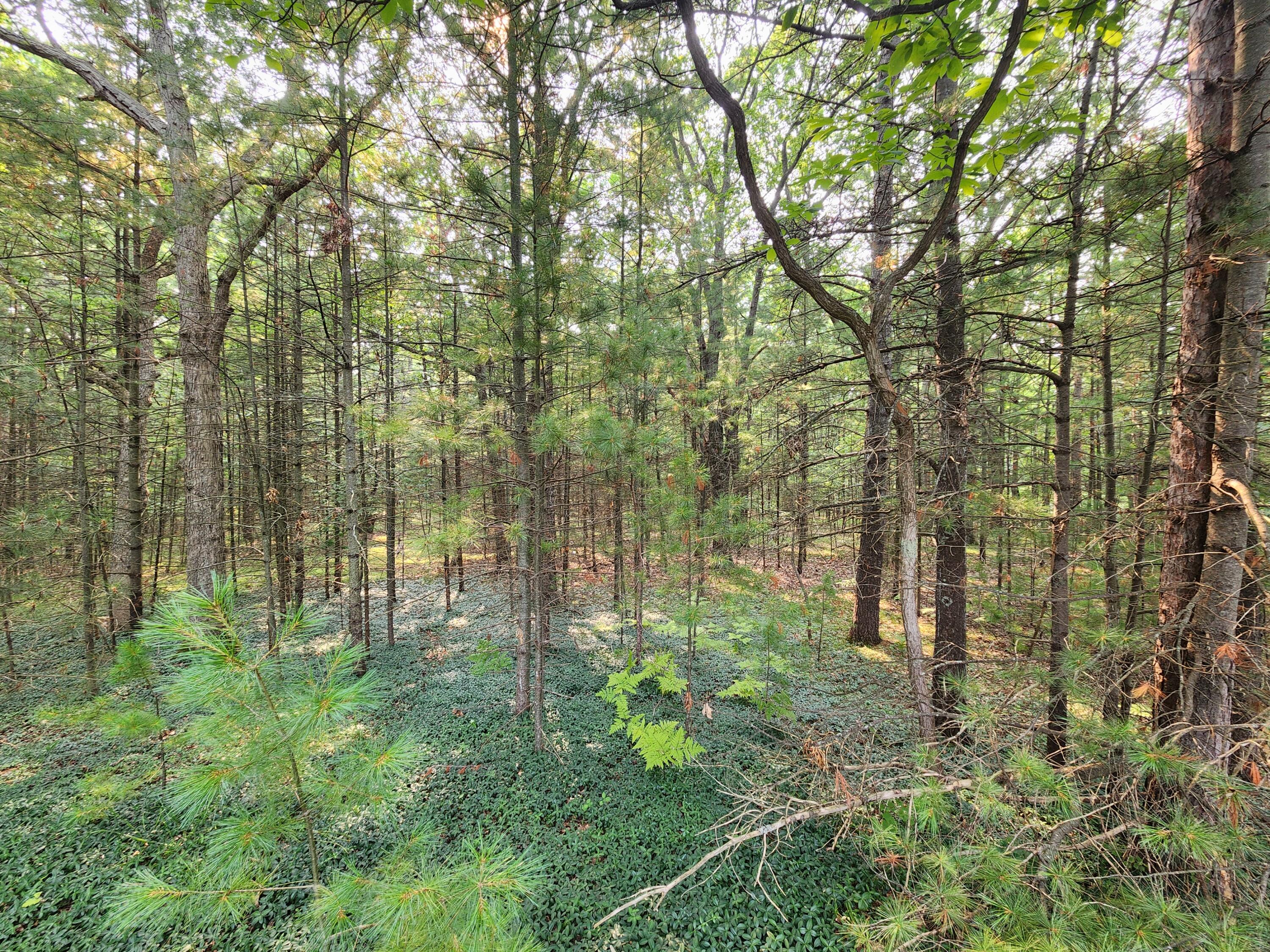 2400 Maple Road Manistee, MI 49660 - Photo 5 of 6 1000002835