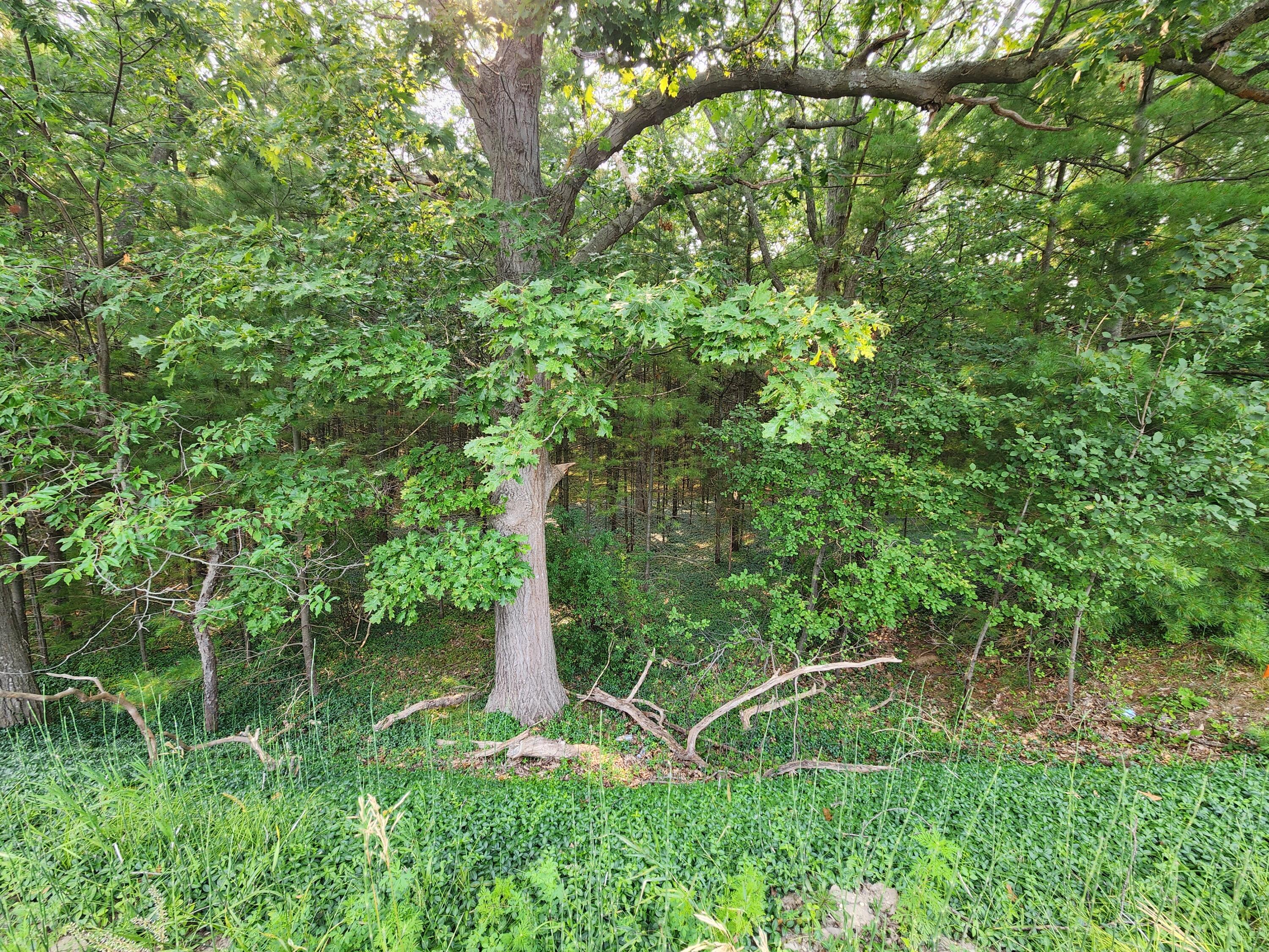2400 Maple Road Manistee, MI 49660 - Photo 6 of 6 1000002838