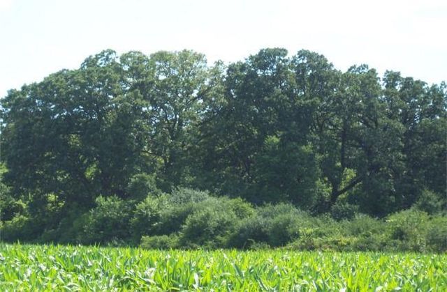 29403 Mt Tom Road, Burlington, WI 53105