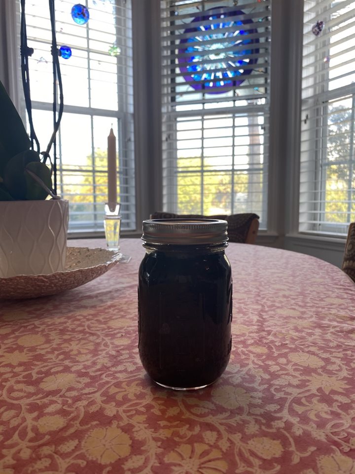 28 West Castillo Drive St. Augustine, FL 32084 - Photo 49 of 49 There are 5 fig trees. 2 Meyer lemon trees, 1 tangerine and 1 naval orange tree along with 8 raised vegetable beds on the property