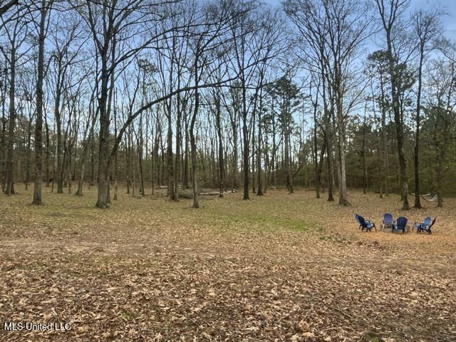 3632 Highway 25 Iuka, MS 38852 - Photo 29 of 30 Hwy25Backyard