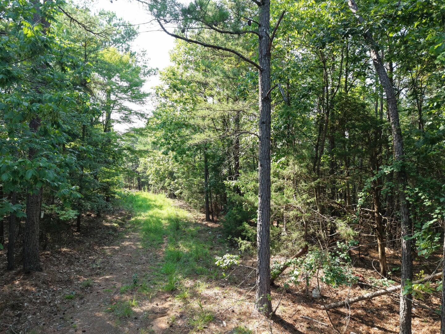 3096 State Rd S-20-33, Unit PARCEL 1 Blair, SC 29015 - Photo 11 of 32 DJI_20260811165227_0233_D (Large)