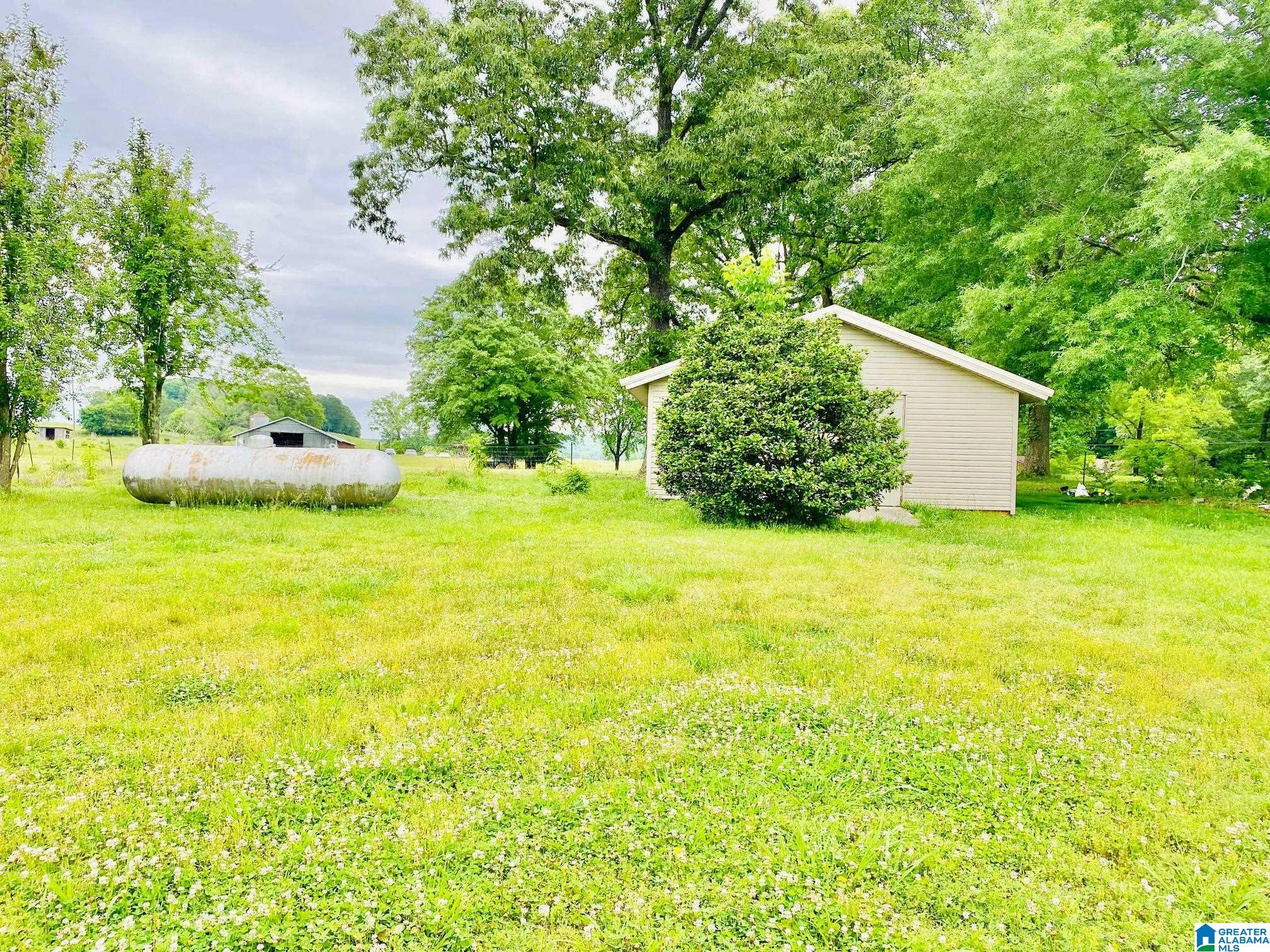 8969 Highway 431 Heflin, AL 36264 - Photo 5 of 33