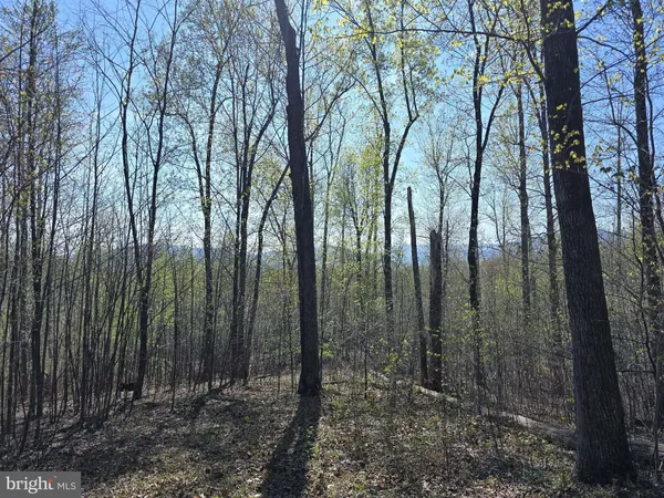 $299,000 | Lot 2 South F T Valley Road, Madison, VA 22727