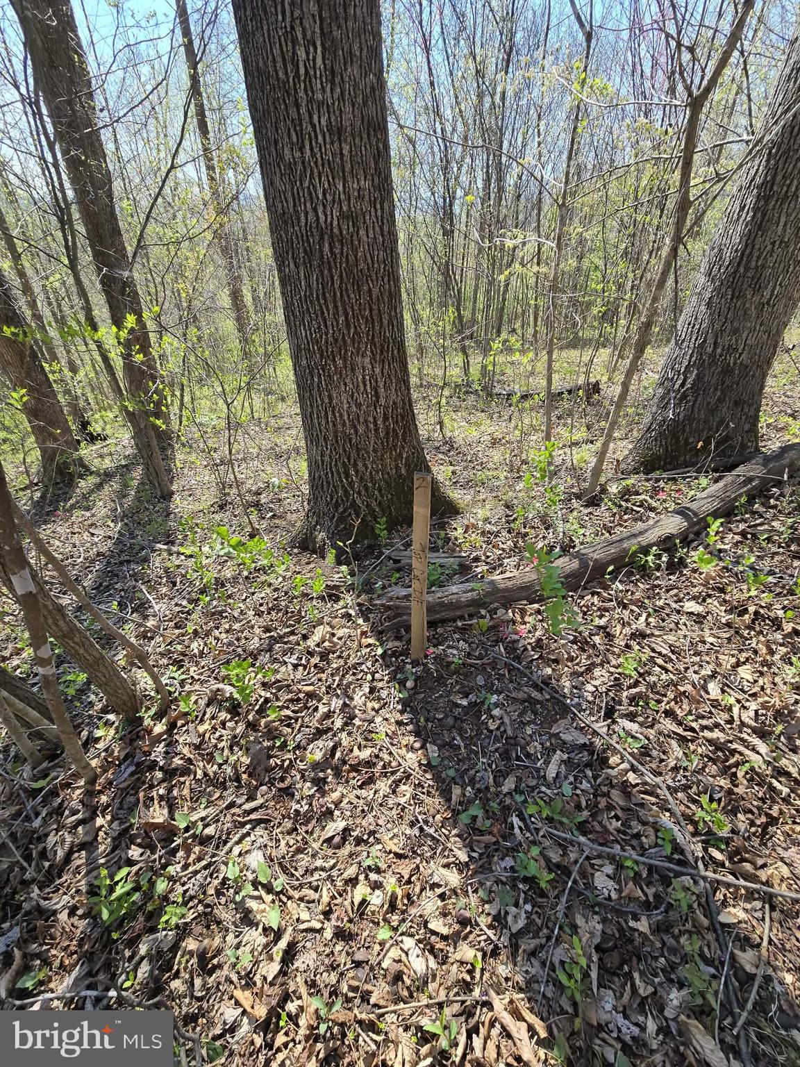 Lot 2 South F T Valley Road Madison, VA 22727 - Photo 14 of 18