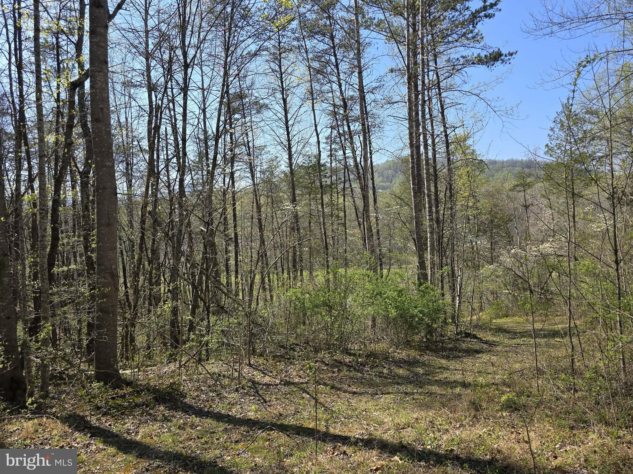 Lot 2 South F T Valley Road Madison, VA 22727 - Photo 15 of 18