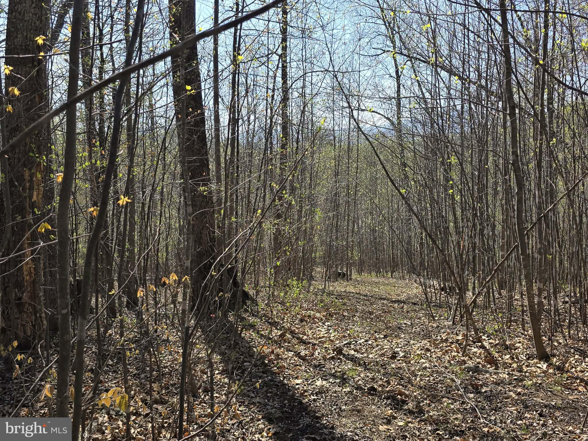 Lot 2 South F T Valley Road Madison, VA 22727 - Photo 18 of 18