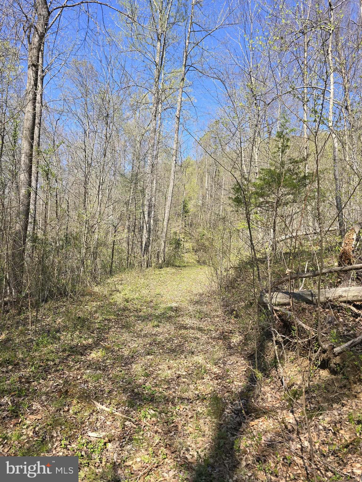 Lot 2 South F T Valley Road Madison, VA 22727 - Photo 5 of 18