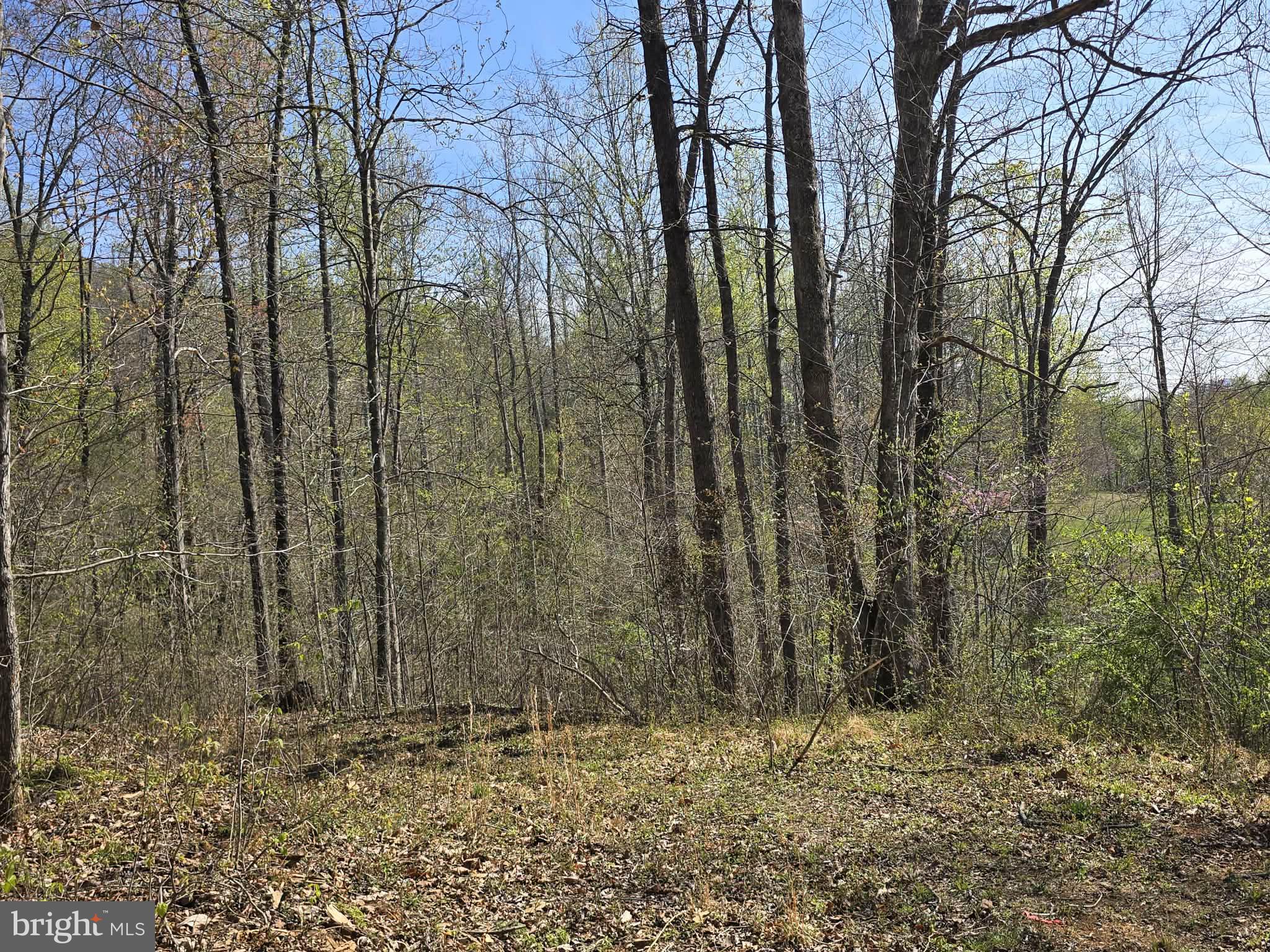 Lot 2 South F T Valley Road Madison, VA 22727 - Photo 8 of 18