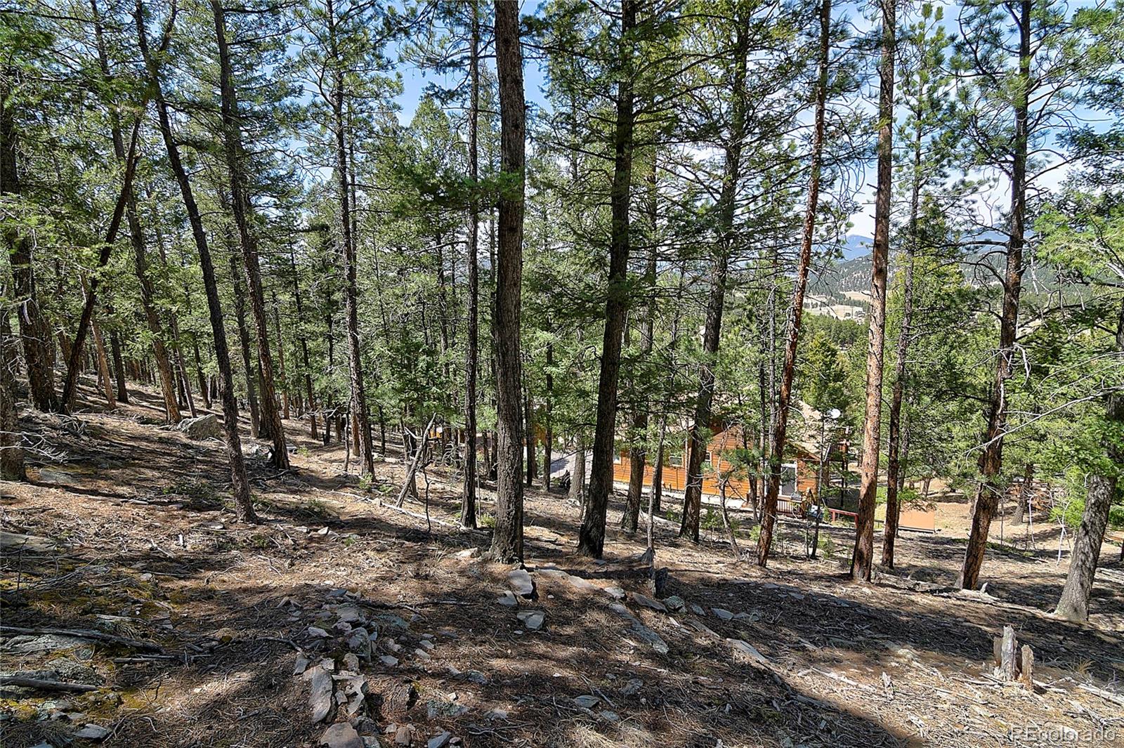434 South Random Road Bailey, CO 80421 - Photo 41 of 46