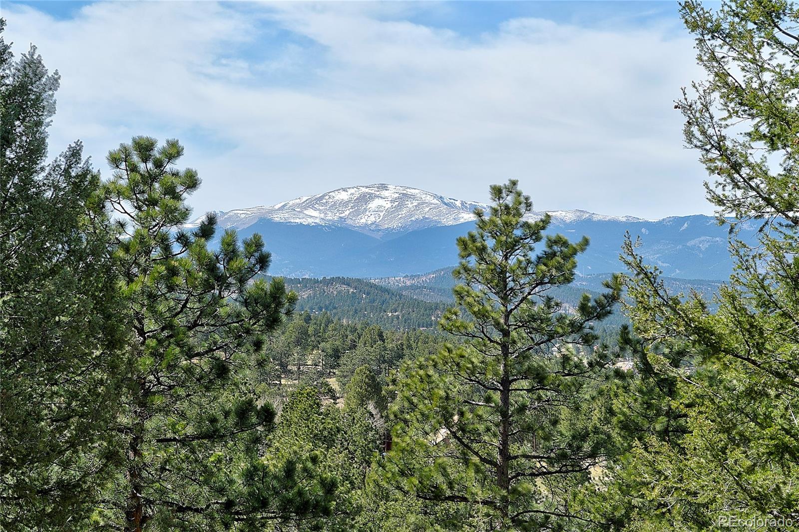 434 South Random Road Bailey, CO 80421 - Photo 5 of 46