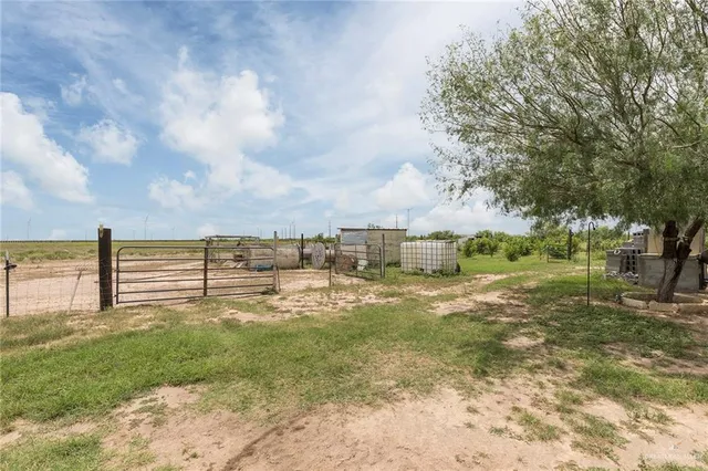 a view of a garden with lawn chairs