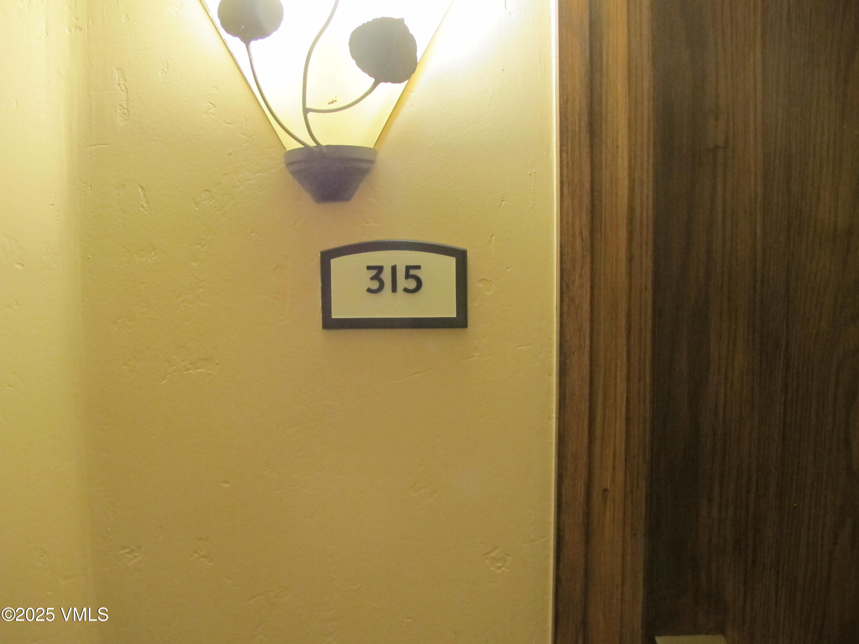 210 Offerson Road, Unit 31533 Beaver Creek, CO 81620 - Photo 8 of 34 IMG_4598