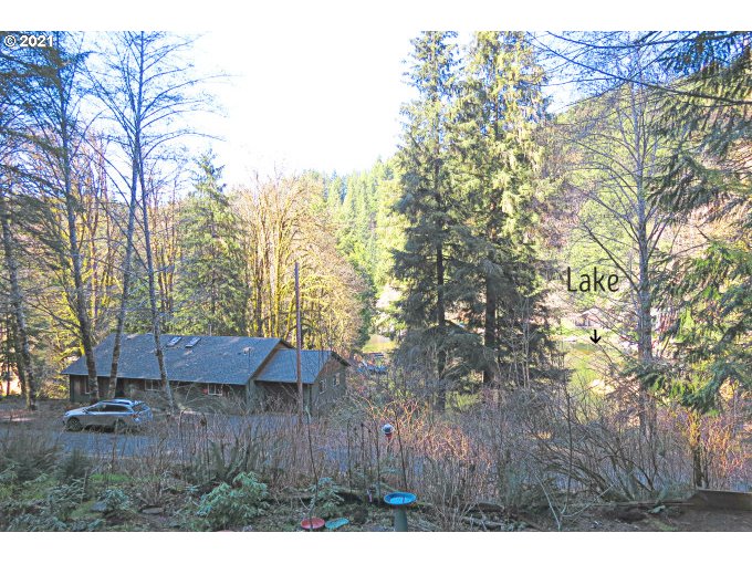 71550 Fishhawk Road Birkenfeld, OR 97016 - Photo 4 of 32 Gallery Image 4