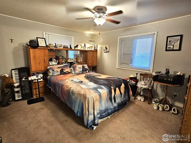 a bed room with a bed and a ceiling fan