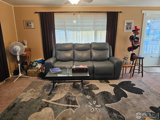 a living room with furniture a rug and a window