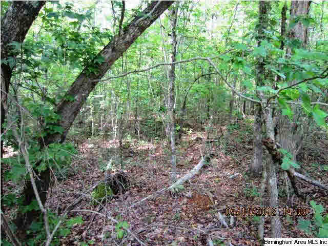 48 Highway, Unit 36 Lineville, AL 36266 - Photo 7 of 7