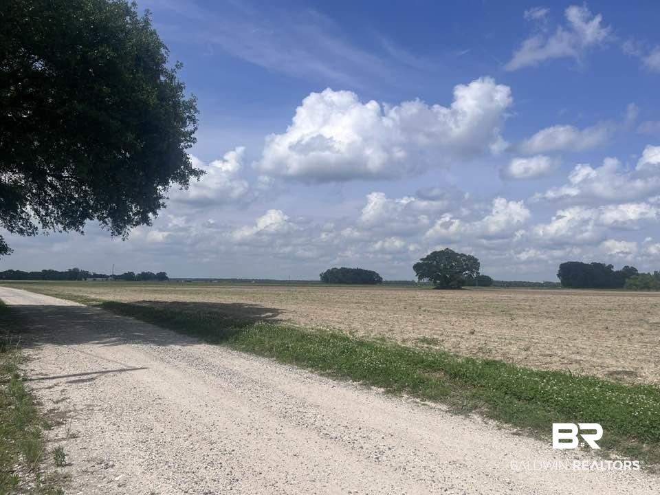 0 Gus Broughton Road Grand Bay, AL 36541 - Photo 5 of 7 View of dirt / gravel road with a view of countryside