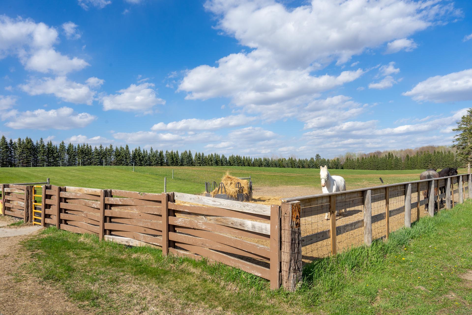 33896 County 21 Browerville, MN 56438 - Photo 55 of 68