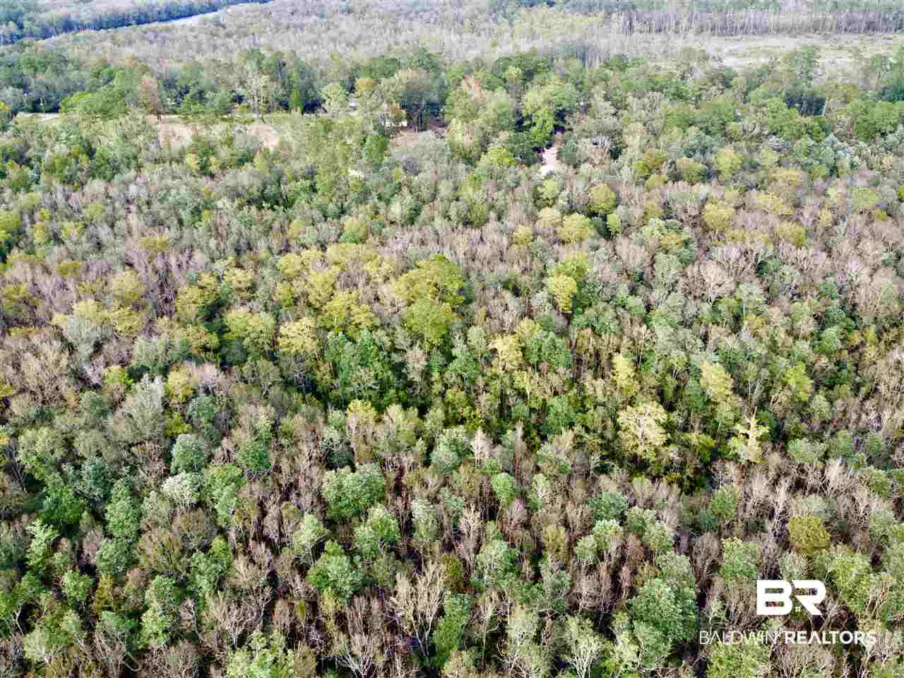 0 Maureen Circle Daphne, AL 36527 - Photo 9 of 26