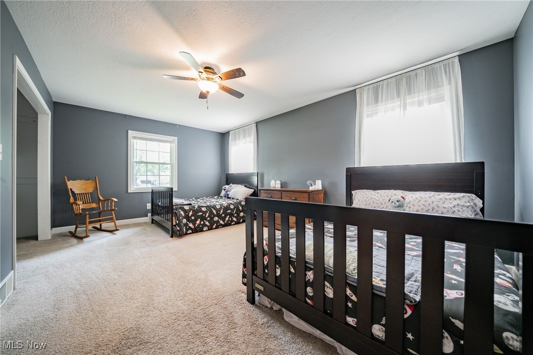 48264 Telegraph Road Amherst, OH 44001 - Photo 27 of 39 Gallery Image 27